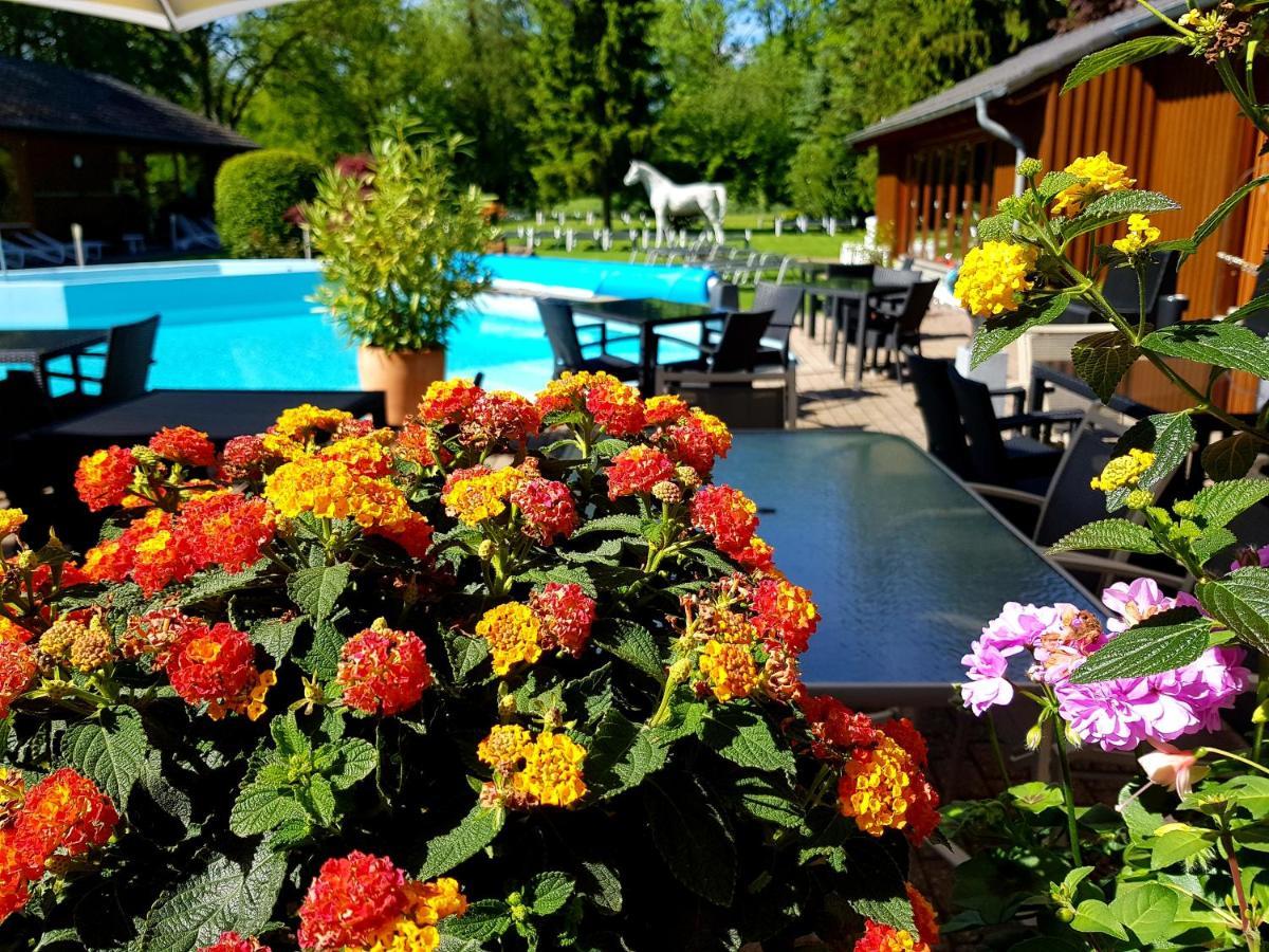 Hotel Eifelsteig Ретґен Екстер'єр фото